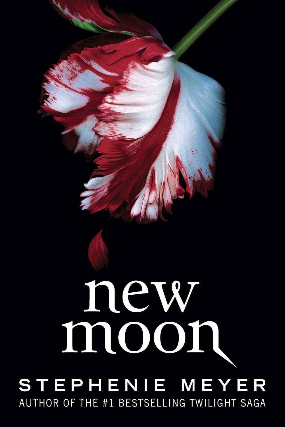 The Twilight Saga Set - Stephenie Meyer