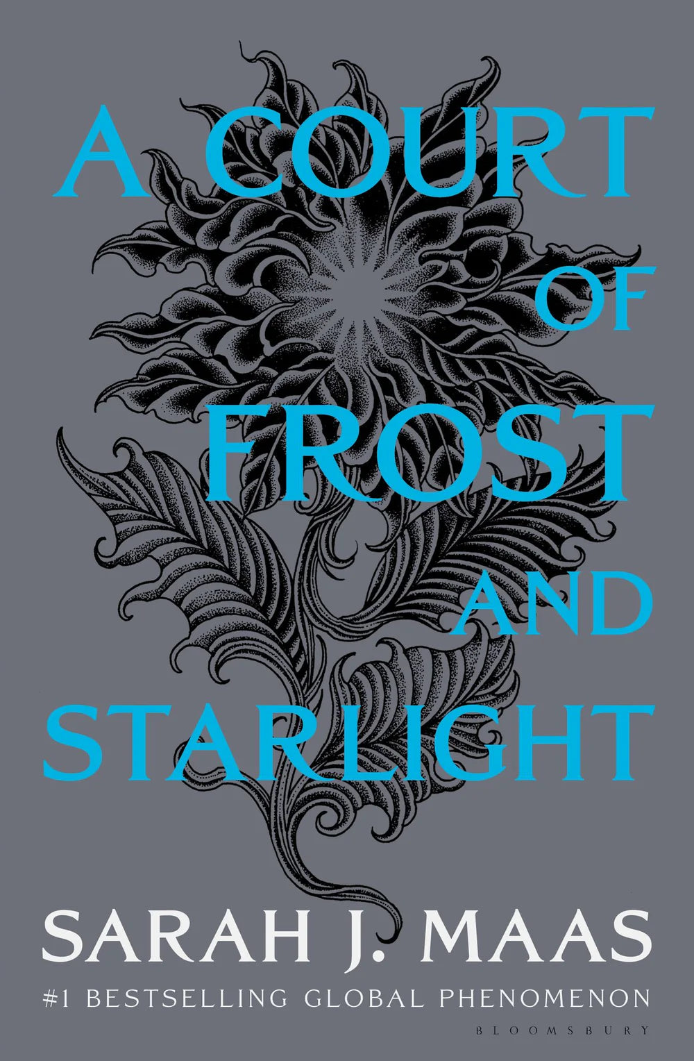 A Court of Frost and Starlight - Special Edition
